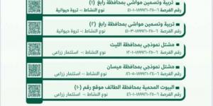 “بيئة مكة المكرمة” تطرح فرصًا استثمارية واعدة في القطاعين الزراعي والحيواني - بوابة اخر ساعة