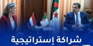 عرقاب يتباحث فرص الاستثمار والتعاون الطاقوي مع سفيرة هولندا - بوابة اخر ساعة
