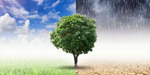 ما هي الكوارث التي ينذر بها التغير المناخي العالم؟ - بوابة اخر ساعة