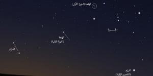 الحصيني: غدًا دخول "الجوزاء" برياح السموم وجمرة القيظ.. وطباخ التمر يبدأ في المدينة والأحساء - بوابة اخر ساعة