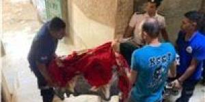 استجابة فورية من الداخلية لنقل سيدة مسنة إلى المستشفى بدار السلام - بوابة اخر ساعة