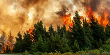 تفسير حلم الحريق في المنام وعلاقته بوجود أشخاص يتحدثون عنه بالسوء - بوابة اخر ساعة