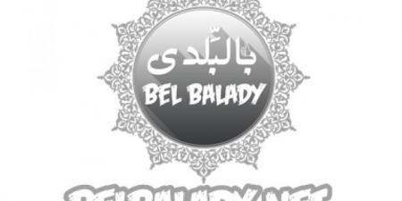 بساتين الطائف.. تمطر الأسواق والسياح بالتين وشتلات الترنج - بوابة اخر ساعة