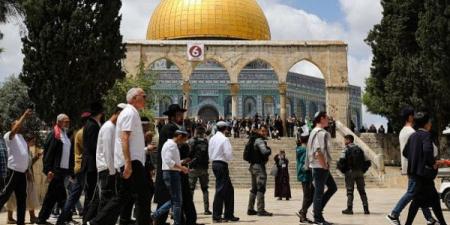 مستوطنون يقتحمون الأقصى بحماية مشددة من شرطة الاحتلال - بوابة اخر ساعة