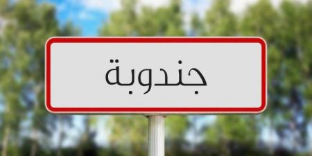 جندوبة: تقدّم أشغال مشروع تكثيف الفلاحة السقوية بنسبة تناهز 70 بالمائة - بوابة اخر ساعة
