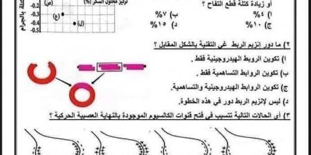 هيجي منهم فى الامتحان بنسبة 99%.. 46 سؤال أحياء للثانوية العامة 2025 بالإجابات - بوابة اخر ساعة