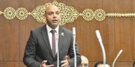 النائب محمود القط لبسمة وهبة: التنسيقية حققت أداء مشرفا - بوابة اخر ساعة