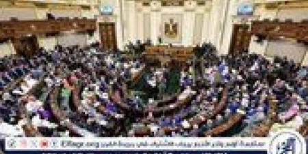 "النواب" يوافق على صرف حافز مناطق نائية من 200% لـ 600% لأعضاء المهن الطبية - بوابة اخر ساعة
