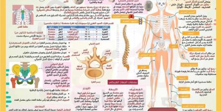 16 ورقة مش هيخرج عنهم الامتحان.. أقوى مراجعة نهائية فى الأحياء للثانوية العامة 2025 - بوابة اخر ساعة
