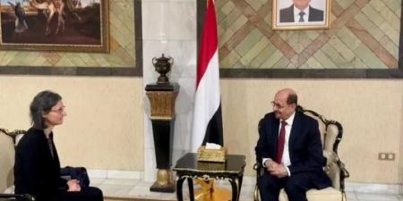 وزير الخارجية يبحث مع السفيرة الفرنسية تعزيز العلاقات الثنائية وتأهيل الكوادر الدبلوماسية - بوابة اخر ساعة