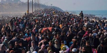 “الأورومتوسطي”: لكل فلسطيني في غزة مساحة أقل من تلك المخصصة لمعتقل في “غوانتنامو” - بوابة اخر ساعة