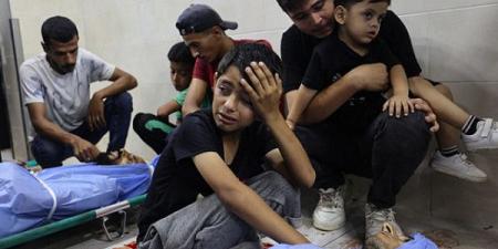 غزة: 105 شهداء و530 جريحاً وصلوا المستشفيات خلال 24 ساعة - بوابة اخر ساعة