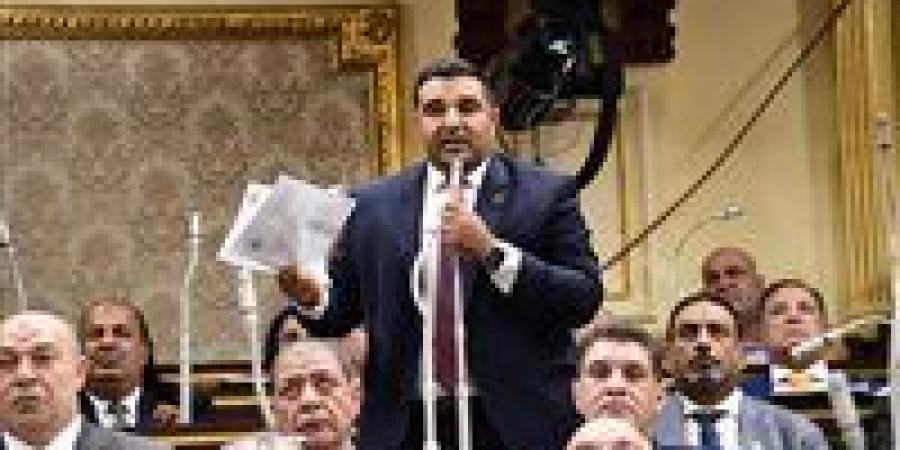 النائب محمود عصام يطالب بإلزام المالك بترميم العقار في اليوم التالي لنشر القانون الجديد بالجريدة الرسمية - بوابة اخر ساعة