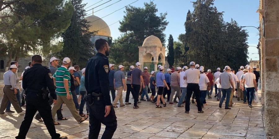 مستوطنون يقتحمون المسجد الأقصى - بوابة اخر ساعة