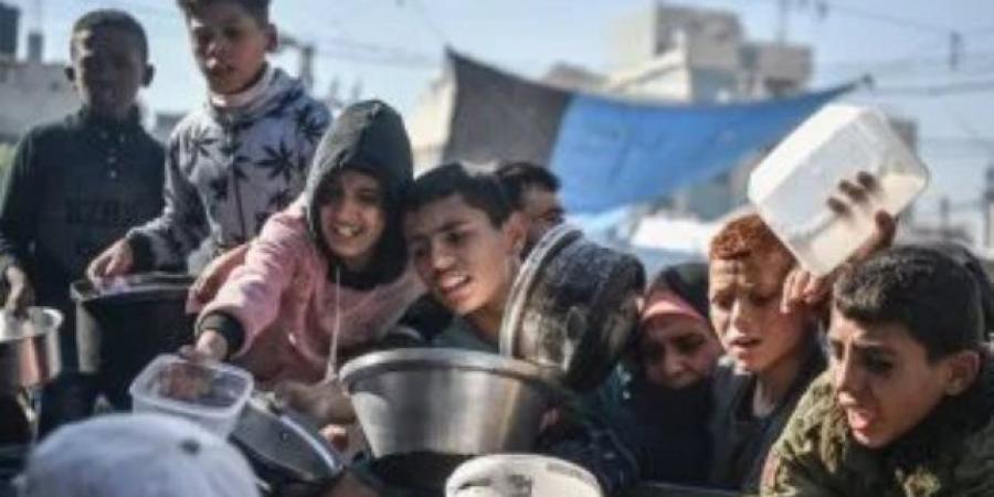 فلسطين تدعو لتحرك عاجل لوقف استخدام الجوع كسلاح ضد شعبها - بوابة اخر ساعة