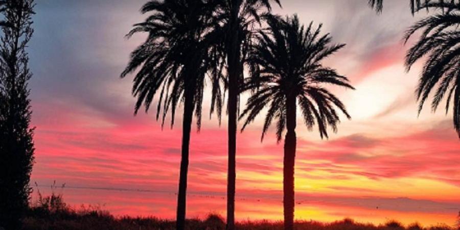 طقس الليلة - بوابة اخر ساعة