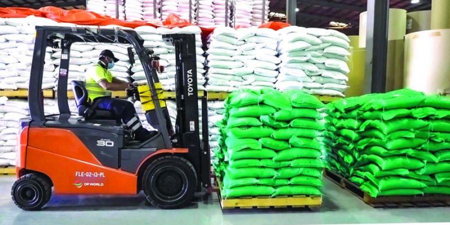 «دي بي ورلد»: بُنية دبي التحتية توفر منظومة أغذية زراعية متكاملة - بوابة اخر ساعة