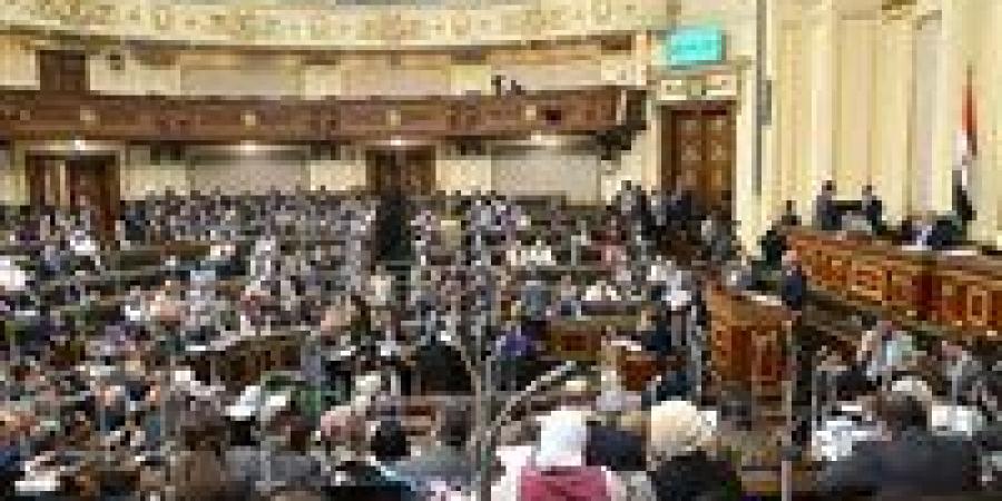 أستاذ قانون دستوري: ترك القانون القديم على حاله كان سيضر بالسلم الاجتماعي - بوابة اخر ساعة