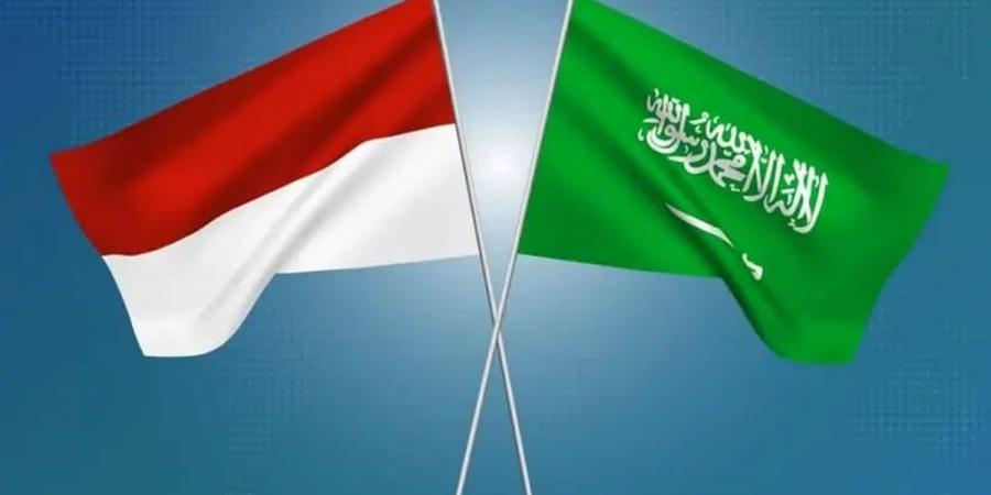 السفن والسيارات والكيماويات.. لمحات على أبرز السلع المتبادلة بين السعودية وإندونيسيا - بوابة اخر ساعة