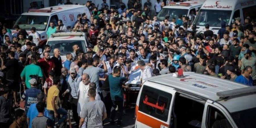 20 شهيدا في استهداف الاحتلال "المجوعين" والنازحين - بوابة اخر ساعة