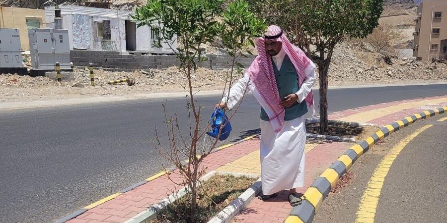 "بيئة الكامل" تطلق 3 مبادرات ميدانية لسقيا وتنظيف الحدائق ضمن حملة تطوعية نوعية - بوابة اخر ساعة