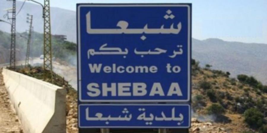 "النشرة": الجيش الإسرائيلي ألقى مناشير تهديدية لأهالي شبعا لنقل المناحل إلى شمال المنطقة - بوابة اخر ساعة