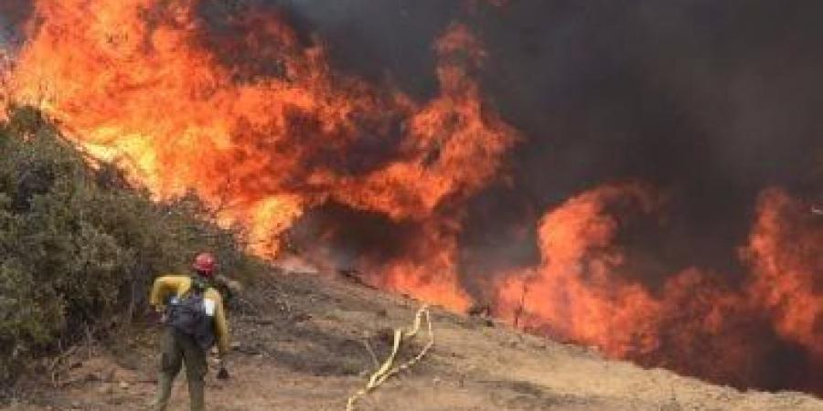 فرق الإطفاء السورية تكثف جهودها للسيطرة على حرائق غابات بريف اللاذقية - بوابة اخر ساعة
