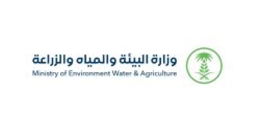"البيئة" بمكة تطلق مبادرات لسقيا المزروعات ومواجهة الحرارة - بوابة اخر ساعة
