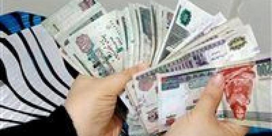 قبل قرار الفائدة.. تعرف على أعلى شهادات الادخار عائدًا في البنوك المصرية - بوابة اخر ساعة