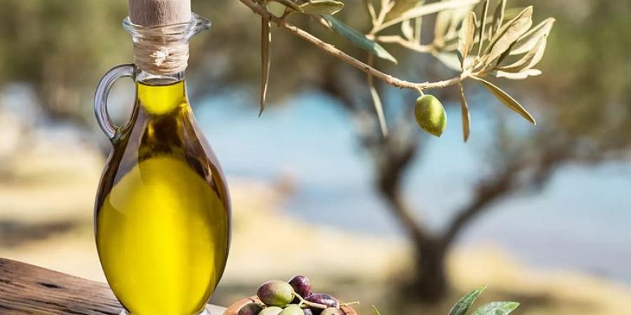 وزير التجارة: صادرات زيت الزيتون زادت بنسبة 45% - بوابة اخر ساعة