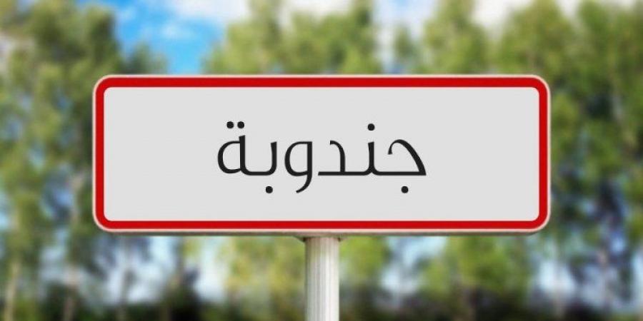 جندوبة: تقدّم أشغال مشروع تكثيف الفلاحة السقوية بنسبة تناهز 70 بالمائة - بوابة اخر ساعة
