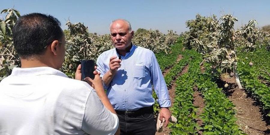 زراعة المنيا تشاهد تجارب التحميل المحصولي للفول الصويا والمانجو - بوابة اخر ساعة