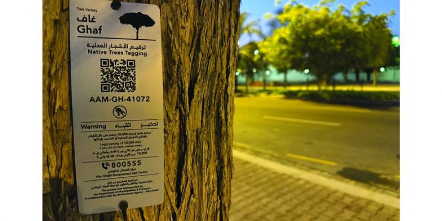 ترقيم الأشجار - بوابة اخر ساعة