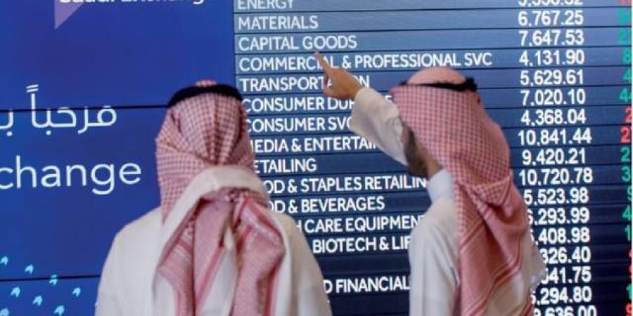 إيرادات مؤسسات السوق المالية ترتفع إلى 4.83 مليار ريال بالربع الأول من 2025 - بوابة اخر ساعة