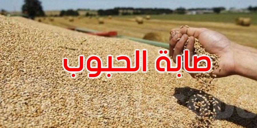 صابة الحبوب: تجميع حوالي 9.751 مليون قنطار... التفاصيل - بوابة اخر ساعة