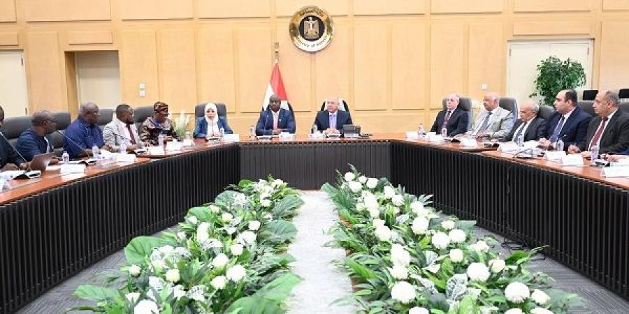 مصر وسيراليون تبحثان تنفيذ مشروعات نقل مشتركة - بوابة اخر ساعة